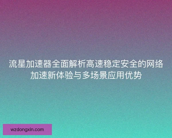 流星加速器全面解析高速稳定安全的网络加速新体验与多场景应用优势