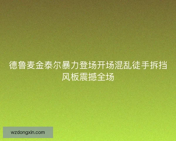 德鲁麦金泰尔暴力登场开场混乱徒手拆挡风板震撼全场