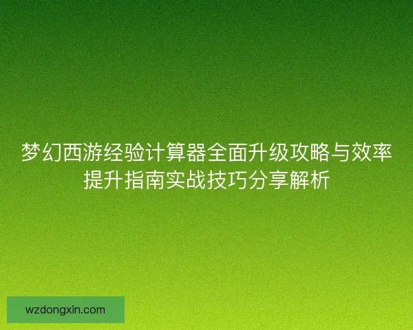 梦幻西游经验计算器全面升级攻略与效率提升指南实战技巧分享解析 梦幻西游经验计算器全面升级攻略与效率提升指南实战技巧分享解析